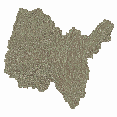 Export Image