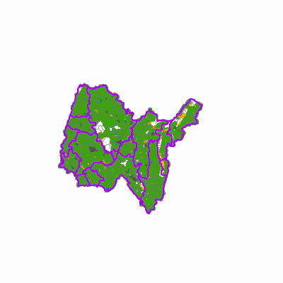Export Image